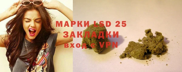 не бодяженный Новозыбков