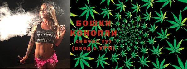 не бодяженный Новозыбков