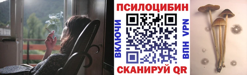 Псилоцибиновые грибы GOLDEN TEACHER  Новое Девяткино 